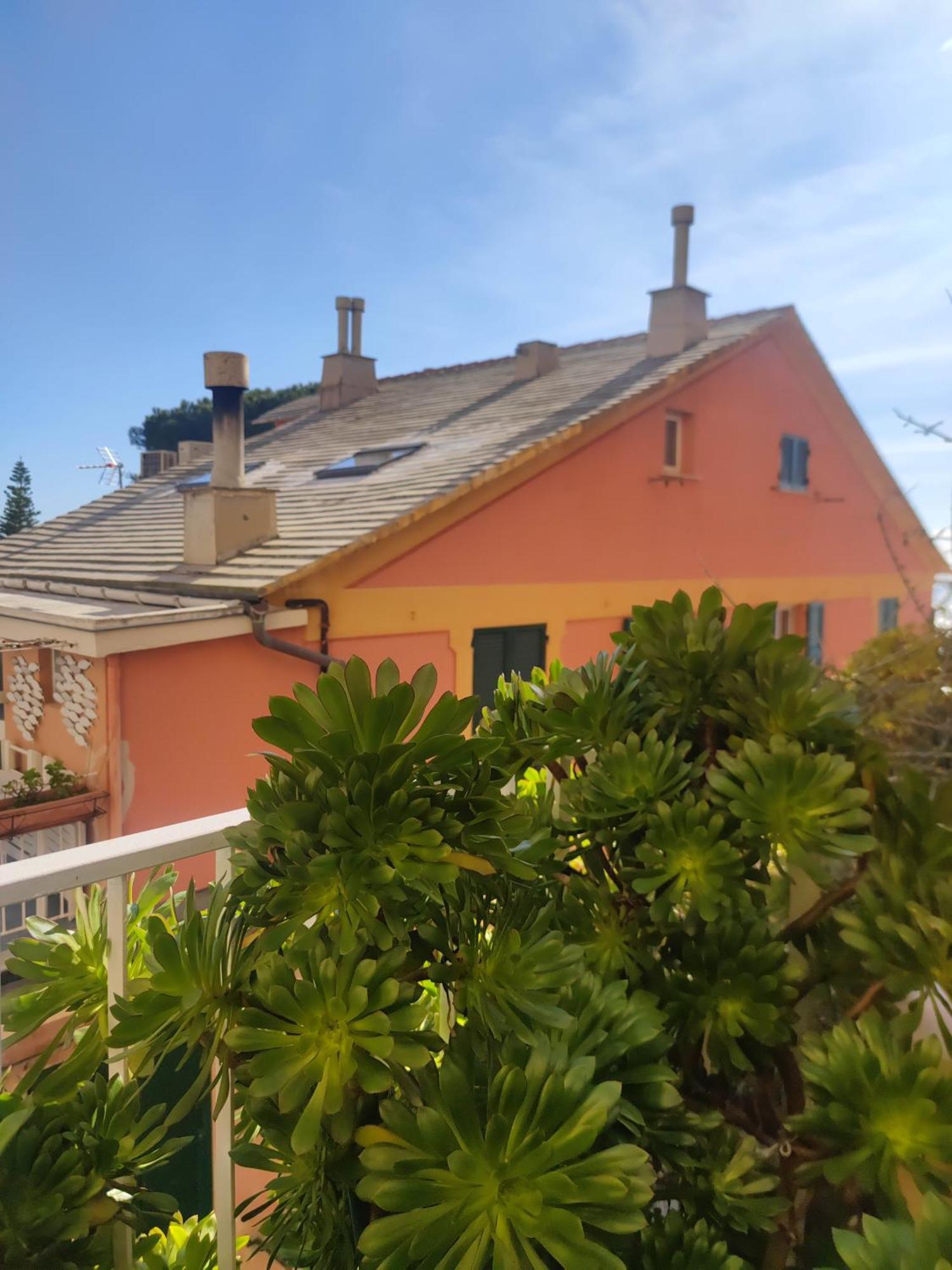 Dalla Spiaggetta A Quinto Janov Exteriér fotografie